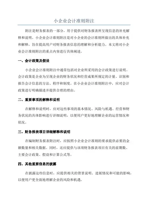 小企业会计准则附注
