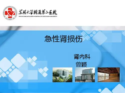急性肾损伤最新PPT课件
