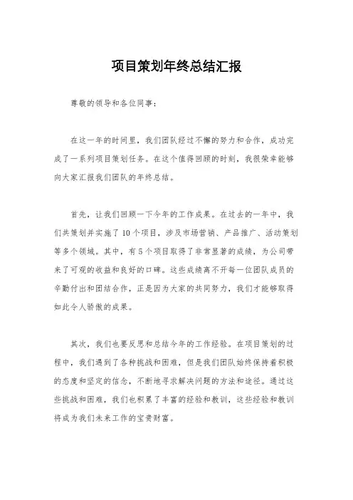 项目策划年终总结汇报