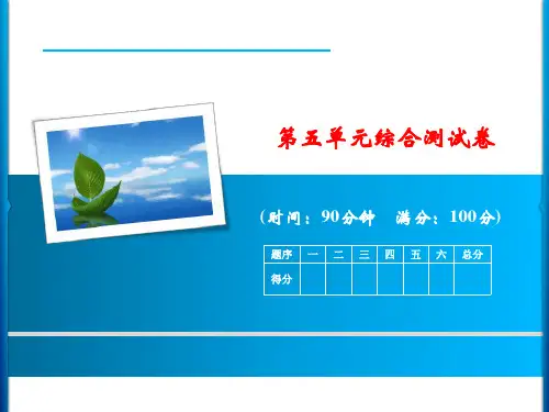 统编版语文五年级上册第五单元综合测试卷课件(17张ppt)