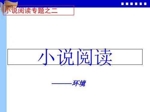 小说环境鉴赏