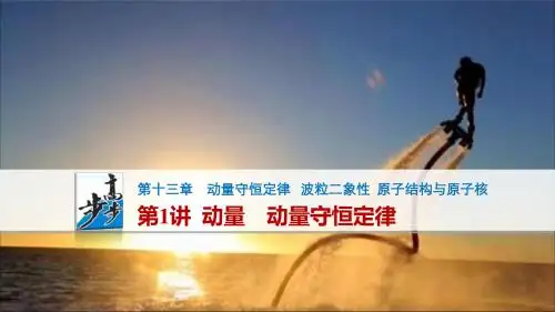 第13章第1讲   动量 动量守恒定律