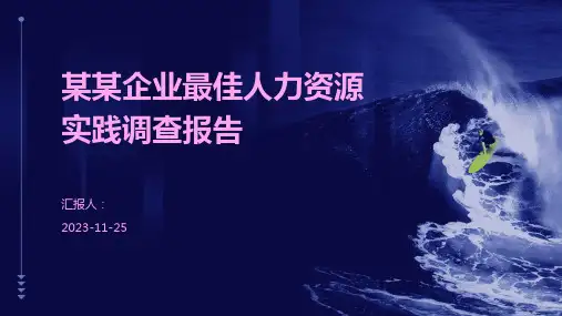 某某企业最佳人力资源实践调查报告