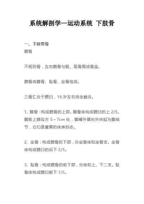 系统解剖学—运动系统之下肢骨