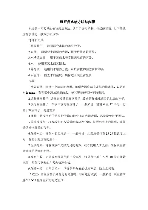 豌豆苗水培方法与步骤