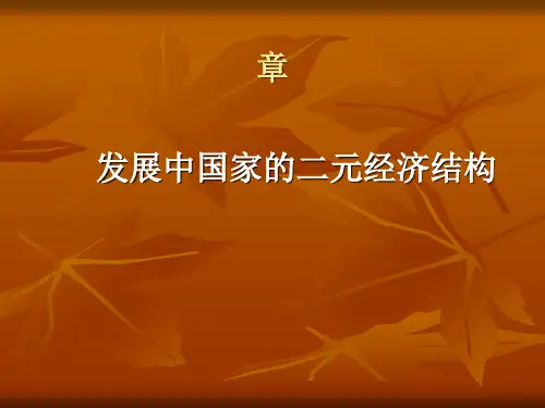 发展中国家的二元经济结构概述(PPT 40张)