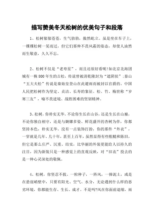 描写赞美冬天松树的优美句子和段落