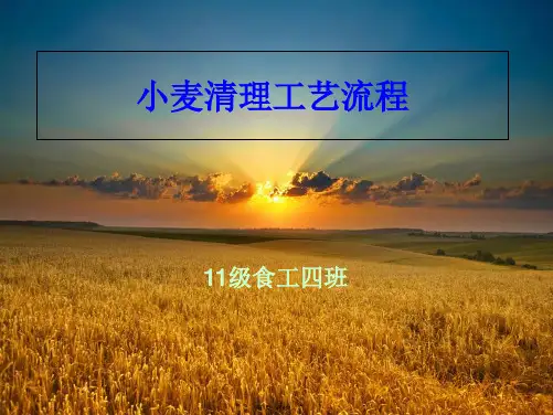 小麦清理的工艺流(共4张PPT)