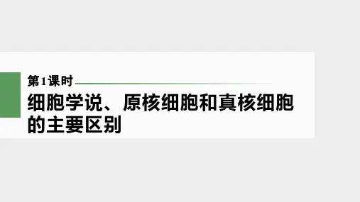 一轮复习苏教版细胞学说原核细胞和真核细胞的主要区别(89张)课件