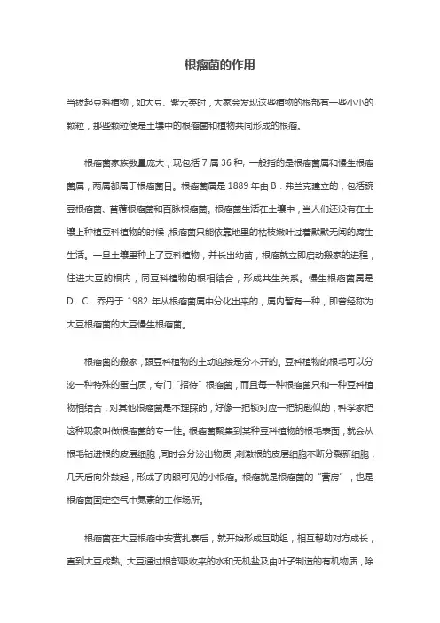 根瘤菌的作用