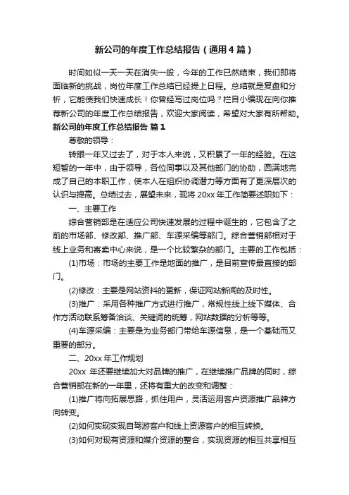 新公司的年度工作总结报告（通用4篇）