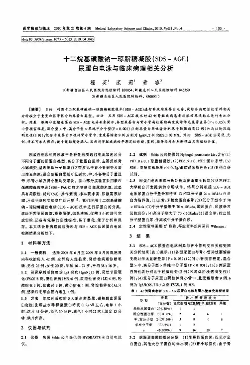 十二烷基磺酸钠-琼脂糖凝胶(SDS-AGE)尿蛋白电泳与临床病理相关分析