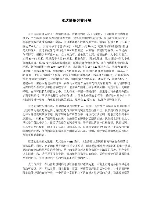 亚达陆龟饲养环境