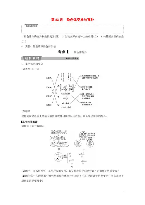 高考生物一轮复习 第七单元 生物的变异、育种和进化 第23讲 染色体变异与育种学案