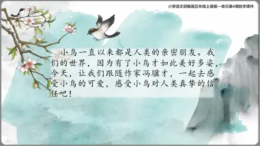 2023《珍珠鸟》优质课件(共52张PPT)