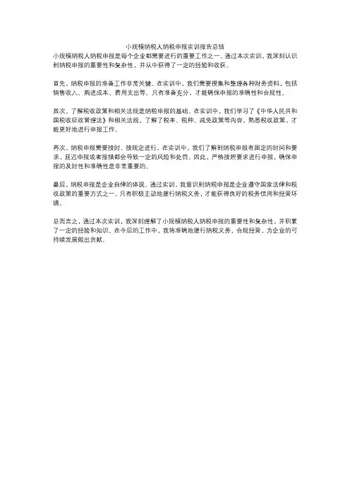 小规模纳税人纳税申报实训报告总结