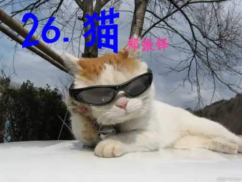 七年级语文下册 26 猫课件 新人教版