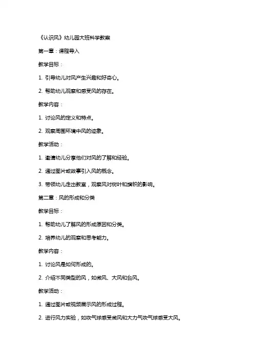 《认识风》幼儿园大班科学教案
