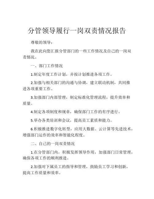 分管领导履行一岗双责情况报告