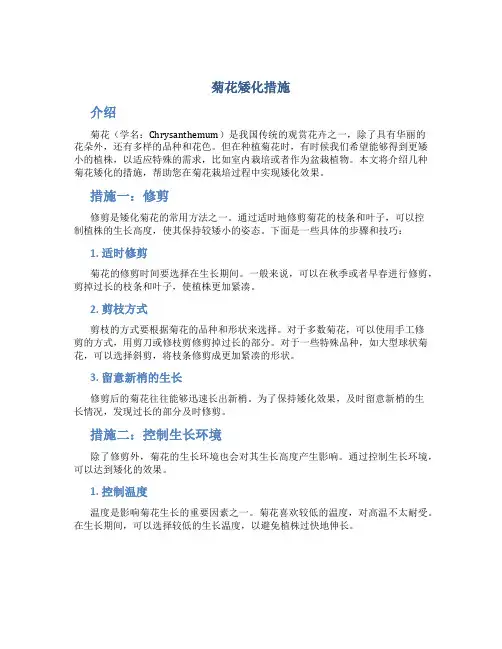 菊花矮化措施