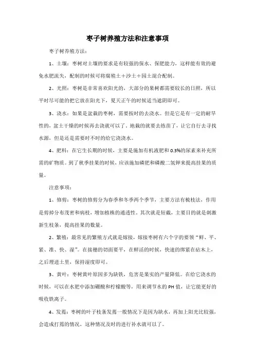 枣子树养殖方法和注意事项