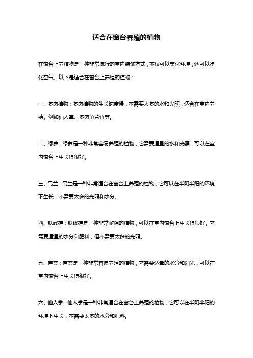 适合在窗台养殖的植物
