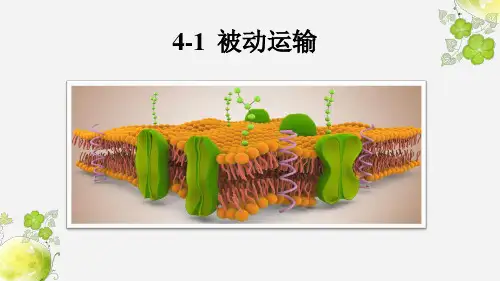 4.1 被动运输课件-高一上学期生物人教版(2019)必修1