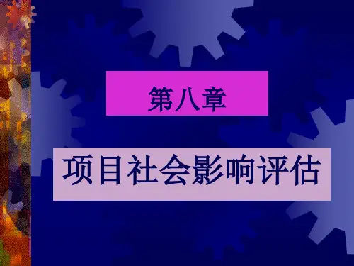 第八章 项目社会影响评估分析