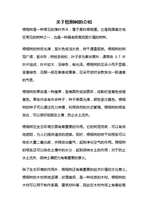 关于梧桐树的介绍