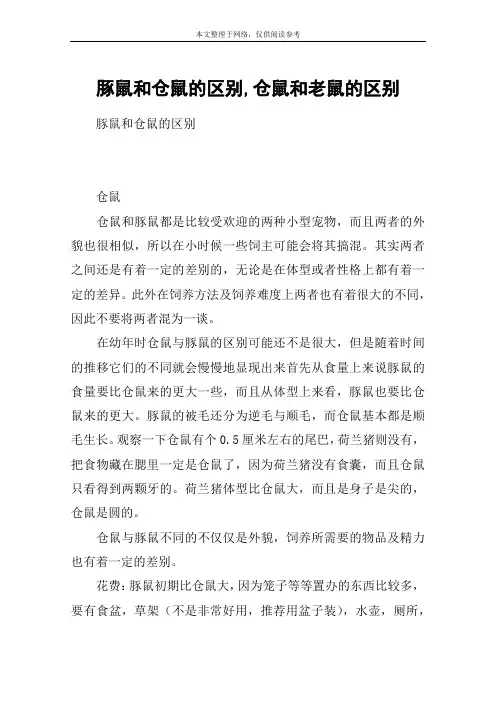 豚鼠和仓鼠的区别,仓鼠和老鼠的区别