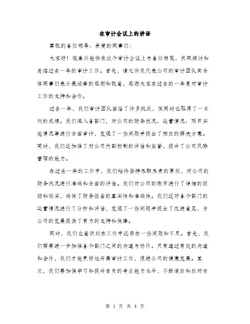 在审计会议上的讲话（2篇）