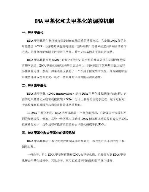 DNA甲基化和去甲基化的调控机制