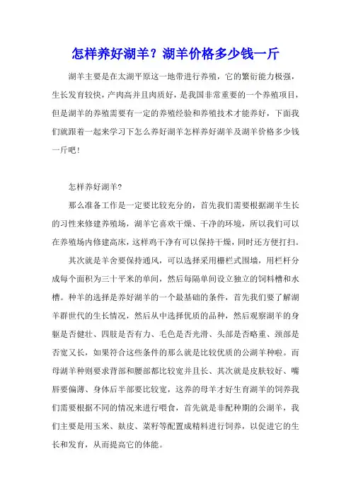 怎样养好湖羊？湖羊价格多少钱一斤