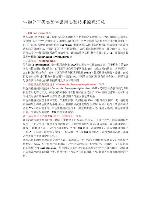 生物分子类实验室常用实验技术原理汇总