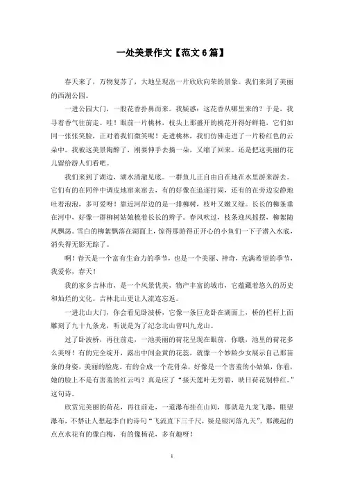 精选一处美景作文【范文6篇】