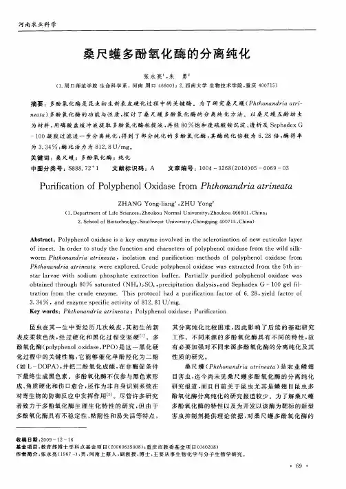 桑尺蠖多酚氧化酶的分离纯化