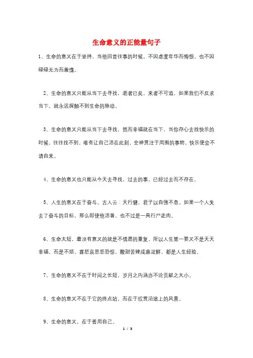 生命意义的正能量句子