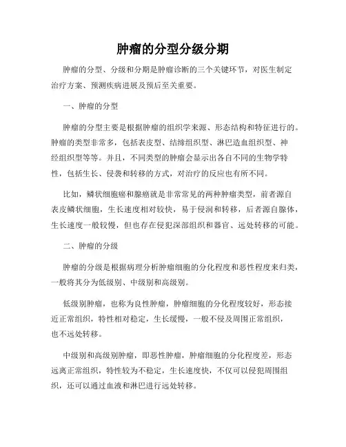 肿瘤的分型分级分期