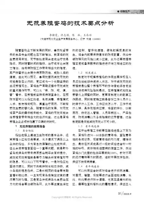 无抗养殖蛋鸡的技术要点分析
