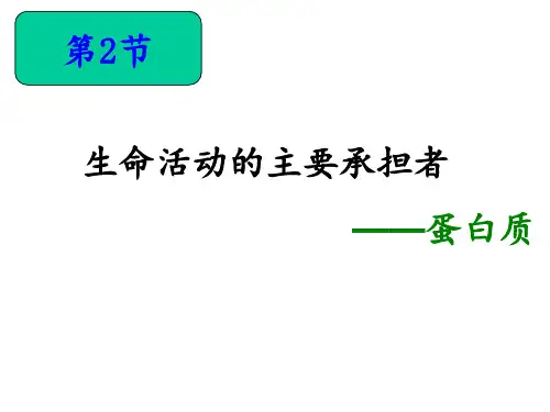生命活动的主要承担者蛋白质(公开课)PPT课件