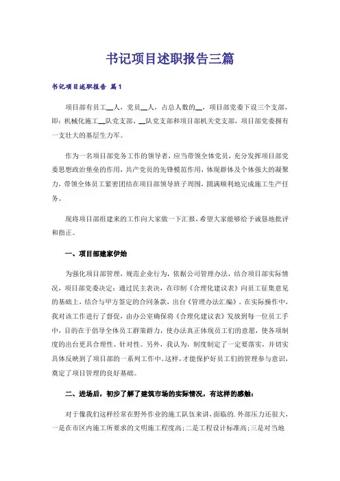 书记项目述职报告三篇