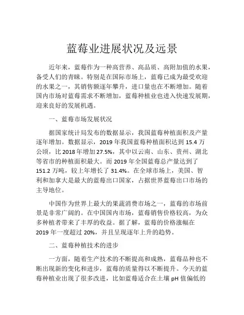 蓝莓业进展状况及远景