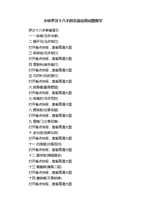 少林罗汉十八手的实战应用动图教学