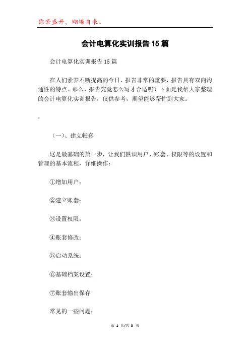 会计电算化实训报告15篇