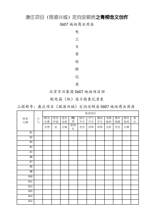 电工日常检查记录表