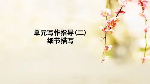 写作《细节描写》课件(共23页)2021-2022学年部编版语文七年级下册