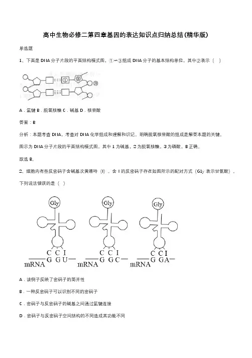 高中生物必修二第四章基因的表达知识点归纳总结(精华版)(带答案)