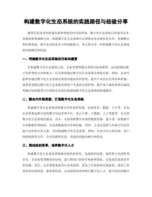 构建数字化生态系统的实践路径与经验分享