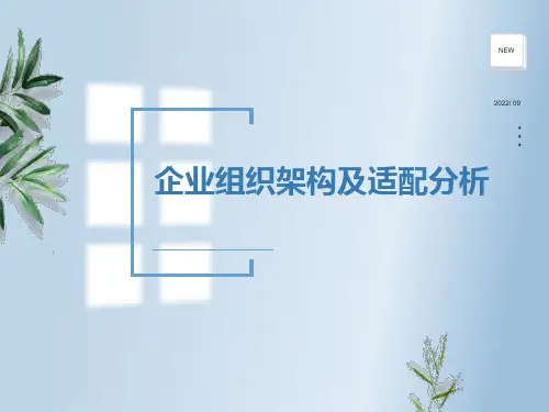 企业组织架构ppt