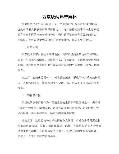 西双版纳热带雨林